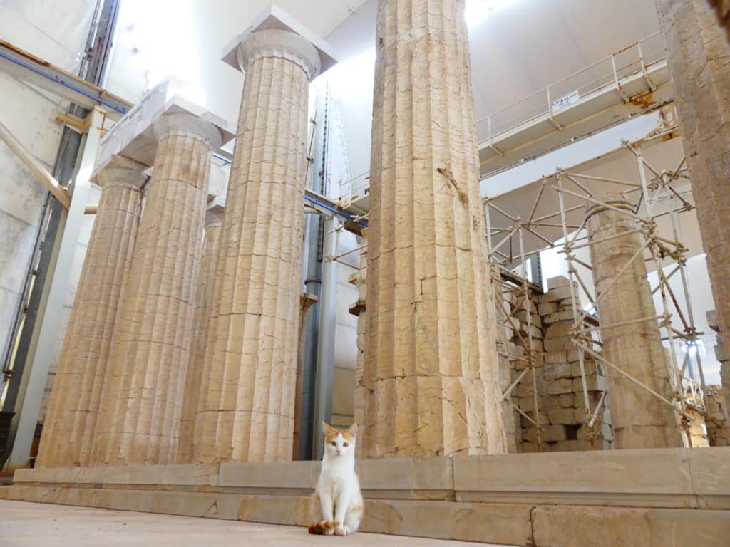 epicourios temple apollon bassae grece 120 scaled