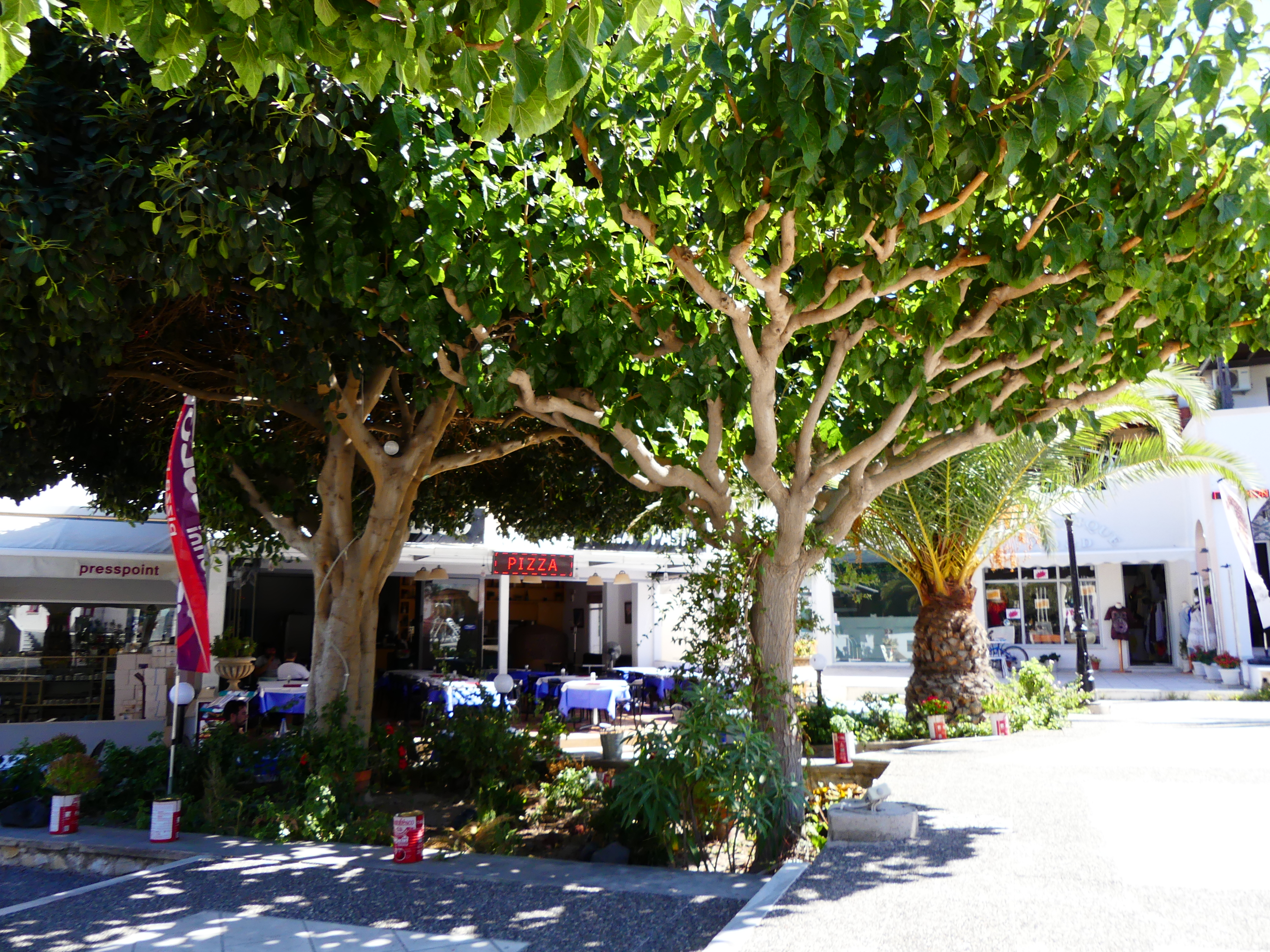 Place centrale Kamari Santorin