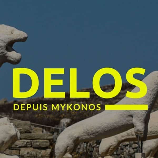 Croisière à Delos & Rhénia depuis Mykonos
