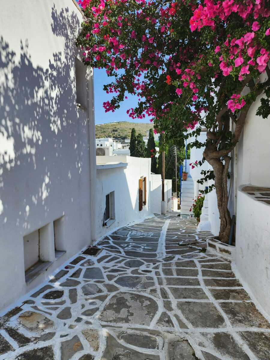 paros cyclades grece (3)
