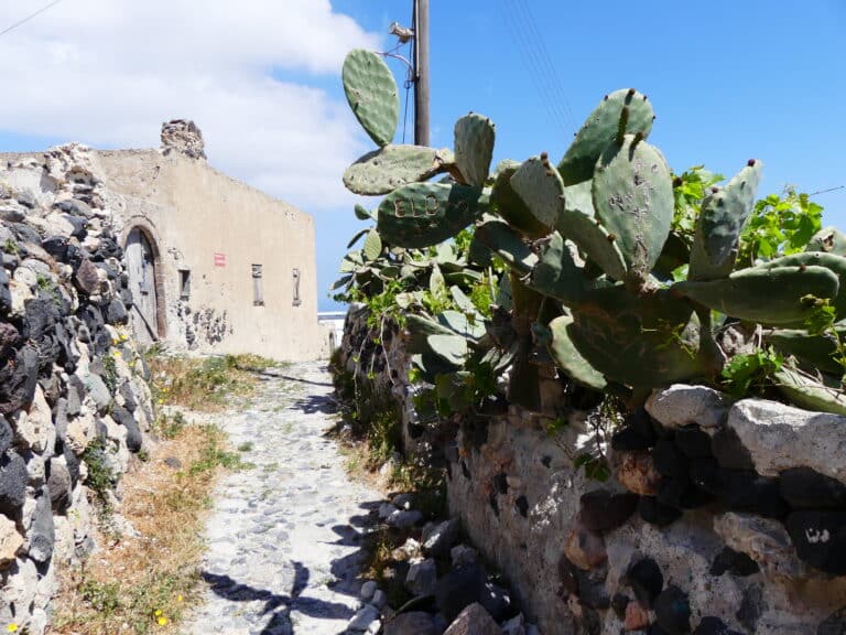 Ruelle blanche du kasteli de Pyrgos