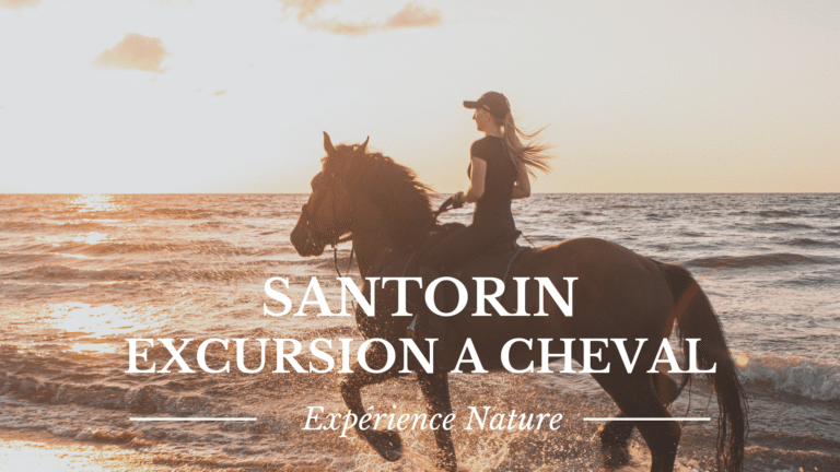 Santorin à cheval : Explorez l’île d’une manière unique et pittoresque