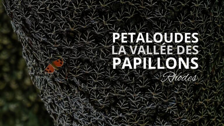 valle des papillons rhodes