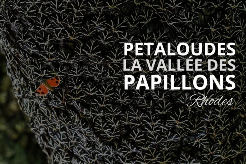 valle des papillons rhodes